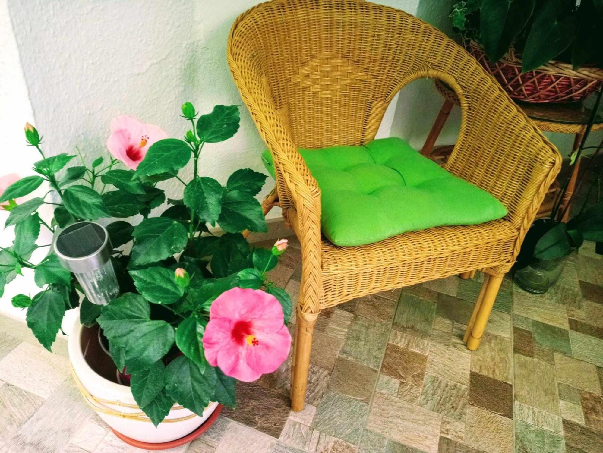 La Carihuela A 5 Minutos De La Playavistas Al Mar Apartment ตอร์เรโมลิโนส ภายนอก รูปภาพ