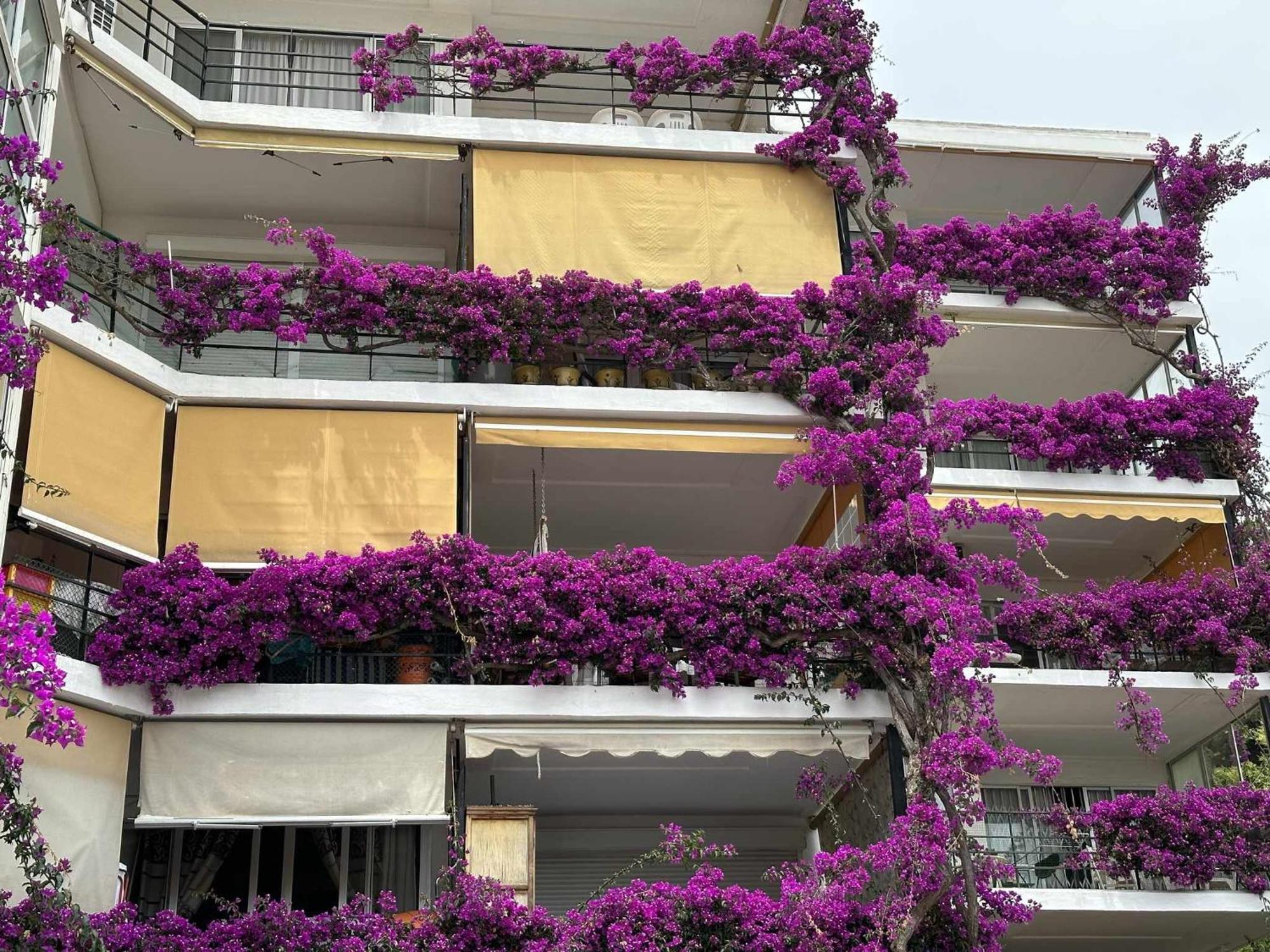 La Carihuela A 5 Minutos De La Playavistas Al Mar Apartment ตอร์เรโมลิโนส ภายนอก รูปภาพ